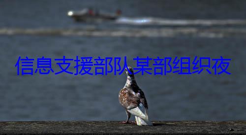 信息支援部练图队某部组织夜间修理训